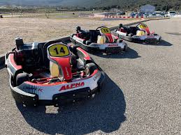 Karting du Tydos : Karts Alpha Carbone